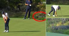 Rory McIlroy Plays Golf Yards Away From Sleeping Alligator In Florida