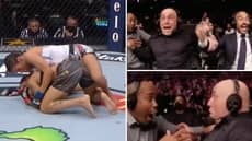 Julianna Pena Pulls Off The Biggest Upset In UFC History Against Amanda Nunes, The Reactions Are Incredible