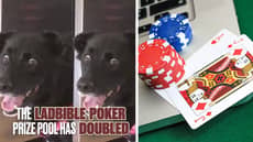 The LADbible Poker Guaranteed Prize Pool Has DOUBLED