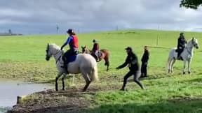 Video Surfaces Of Olympic Gold Medallist Sir Mark Todd Beating A Horse With A Tree Branch