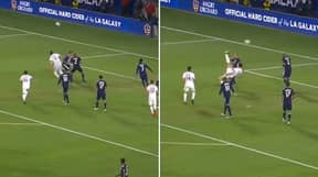 Zlatan Ibrahimovic Scores The Most Outrageous Bicycle Kick For LA Galaxy