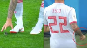 Isco Saves The Day By Rescuing An Injured Bird During Game Against Iran