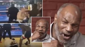 Mike Tyson Watched Deontay Wilder Destroy An Internet Troll For The First Time - His Commentary Is Sensational