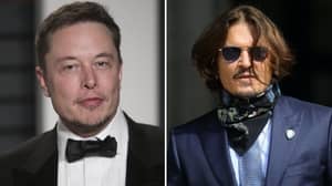 Elon Musk Calls Out Johnny Depp For A Cage Fight, Conor McGregor’s Coach Gets Involved