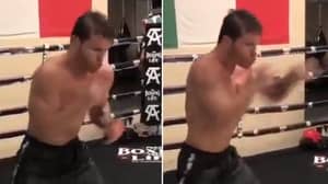 'Canelo' Shows Off His Blistering Hand Speed Ahead Of Gennady Golovkin Rematch