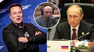 Joe Rogan Offers His Services To Elon Musk For Fight With Vladimir Putin
