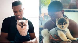 Daniel Sturridge Is 'Being Sued' By Man Who Found His Lost Dog After Allegedly Not Paying Reward Money