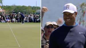 Tiger Woods Continues Comeback With Brilliant 71 Foot Putt