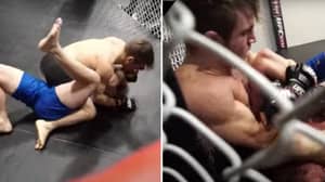 When Jake Paul Fought An MMA Fighter Inside Cage And Tapped Out