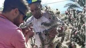 Cyclist Diego Moreno Covered In Thousands Of Painful Spikes After Crashing Into Cactus