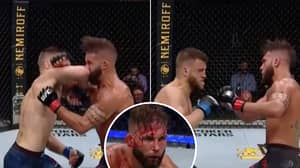 Calvin Kattar Produces Stunning 'Standing' Elbow Strike To Finish Jeremy Stephens At UFC 249