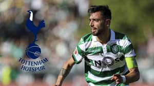 Tottenham Send Representative To Lisbon To Negotiate A Deal For Bruno Fernandes