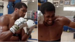 Anthony Joshua Shows Off Scary Power As He Smashes Punching Bag While Sitting Down 