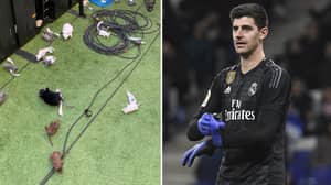 Atletico Madrid Fans Throw Toy Rats At Thibaut Courtois 