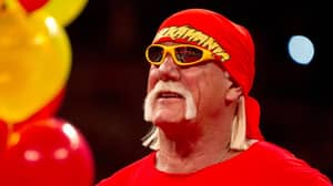 Hulk Hogan Makes Controversial Return To WWE's Hall Of Fame