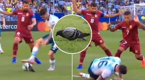 Rodrigo De Paul Is Embarrassingly ‘Tackled By A Pigeon’ During Argentina’s Copa América Clash