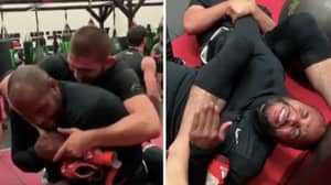 The Time Khabib Nurmagomedov Made Daniel Cormier Submit By Locking In Armbar In Hilarious Video
