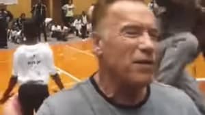 Arnold Schwarzenegger Drop Kicked From Behind While Taking Selfies With Fans