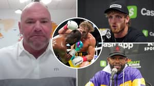 UFC President Dana White Gives Honest Verdict On Floyd Mayweather Vs Logan Paul Clash