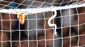 Sydney FC Goalkeeper Signs For City Rivals. Has Snakes Thrown At Him