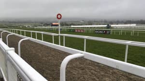 Cheltenham Festival Day One: All The Tips You Need 
