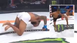 Bellator Fighter Hit With The 'Worst Kick To The Nuts' You'll Ever See 