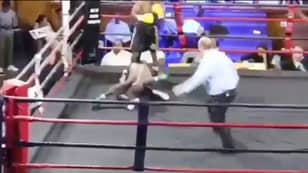 Boxer's Body Literally Folds In Half After Devastating Knockout