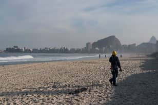 Mutilated Corpse Washes Up On Rio's Olympic Beach