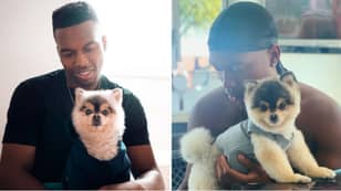 Daniel Sturridge Is 'Being Sued' By Man Who Found His Lost Dog After Allegedly Not Paying Reward Money