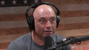 Joe Rogan Says He's Gained 2 Million Subscribers Since Getting 'Cancelled'