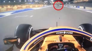 Heart-In-Mouth Moment As Lando Norris Comes Agonisingly Close To Hitting F1 Track Marshal