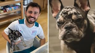 Bernardo Silva Hilariously Names His Dog After Manchester City Teammate