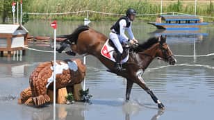 Horse Euthanised At Tokyo Olympics After Suffering Injury In Cross Country