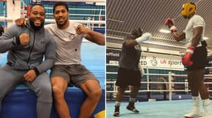 Anthony Joshua Has 'Floored Several Sparring Partners' Ahead Of Andy Ruiz Jr Rematch