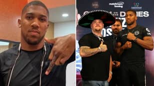 Anthony Joshua Has A Damning Message For His Haters Ahead Of Andy Ruiz Jr Rematch
