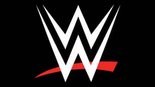 Two Top WWE Stars Sent Home From UK Tour