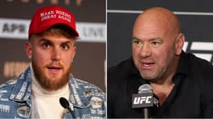 'I Would Never Say Never': Dana White Backflips On Jake Paul's Future In The UFC