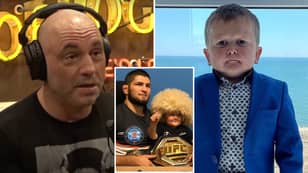 UFC Legend Joe Rogan Gives Honest Verdict On Viral TikTok Star Hasbulla Magomedov