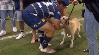 Jason Taumalolo Hugging His Dog Before An NRL Game Has Fans Melting