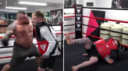 Man Takes A Punch Off World's Strongest Man Eddie Hall And It Doesn't End Well