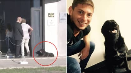 Emiliano Sala's Dog Waited Outside Her Owner's Wake To Say Goodbye 