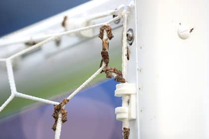 Moths Invade The Pitch Ahead Of Euro 2016 Final