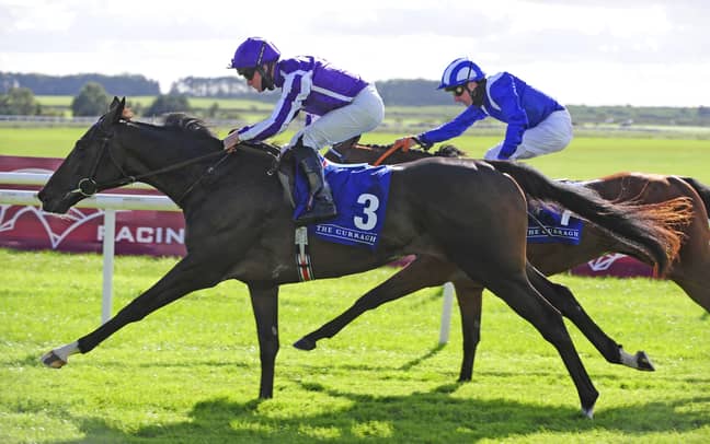 High Definition was last seen storming home from off the pace at the Curragh in September to win the Beresford Stakes