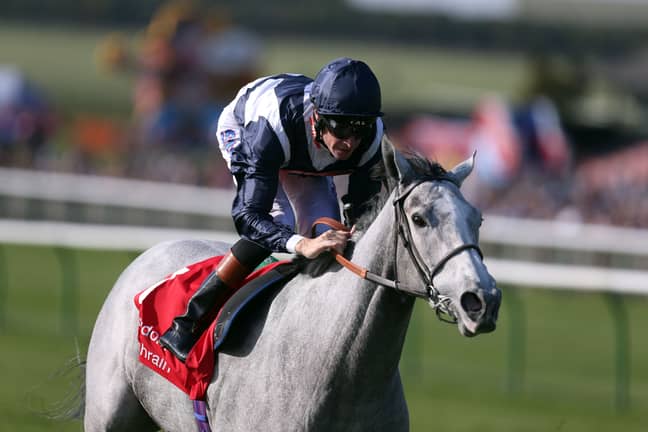 Snow Lantern features in the Oaks Stakes on Friday afternoon