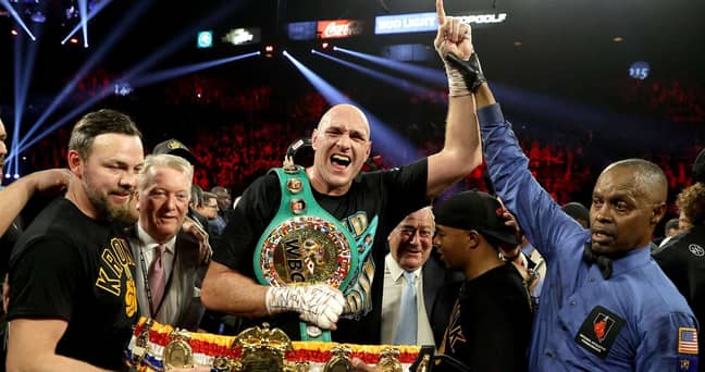 Tyson Fury is undefeated in 31 fights