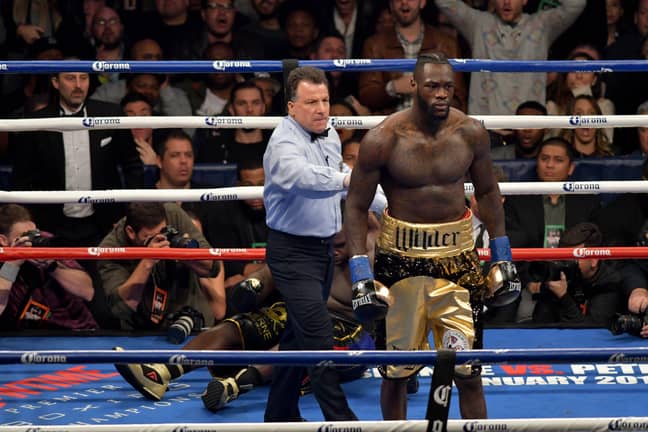 Wilder after putting Stiverne to sleep. Image: PA