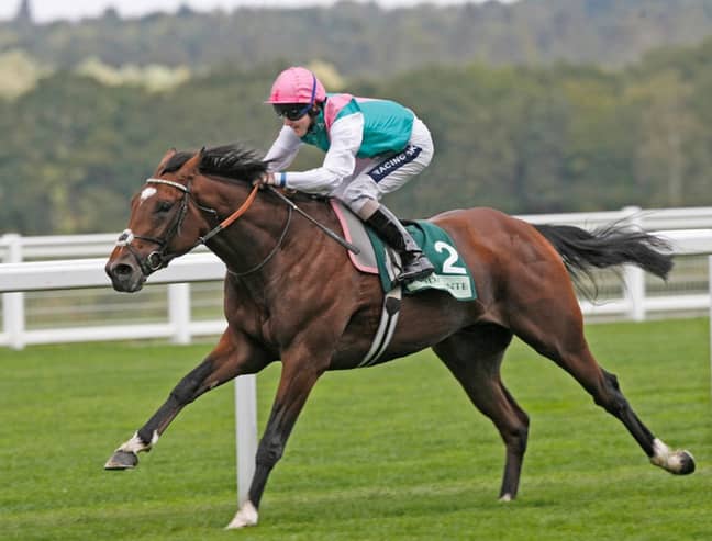 Dream With Me is the son of racing legend Frankel