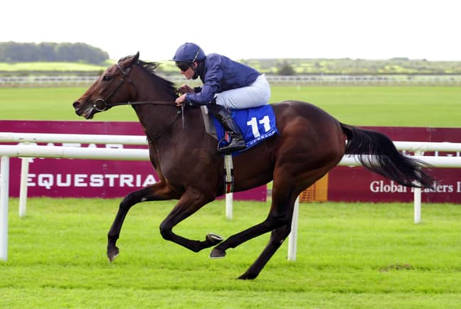 Santa Barbara has been backed off the boards into the clear favourite for the 1000 Guineas