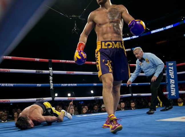 Crolla was laid out by Lomachenko in the fourth round. Image: PA Images