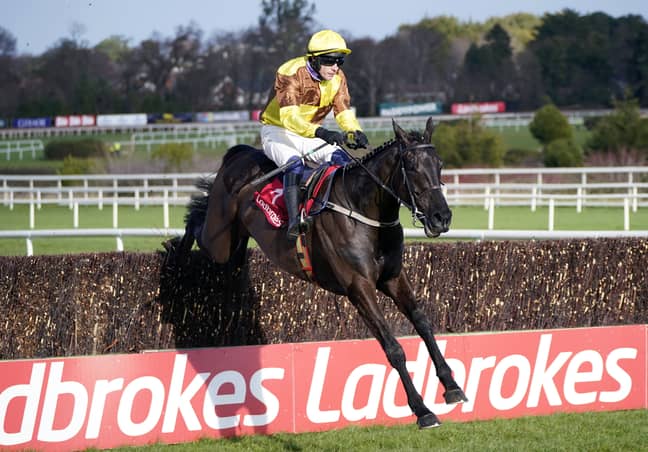 Galopin Des Champs in action at the Cheltenham Festival